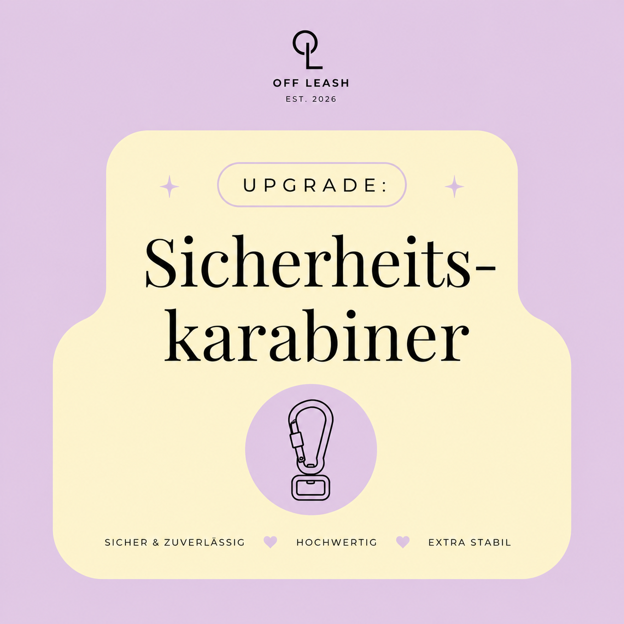 Upgrade: Sicherheitskarabiner