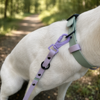 Biothane Halsband "Lavender Mint"