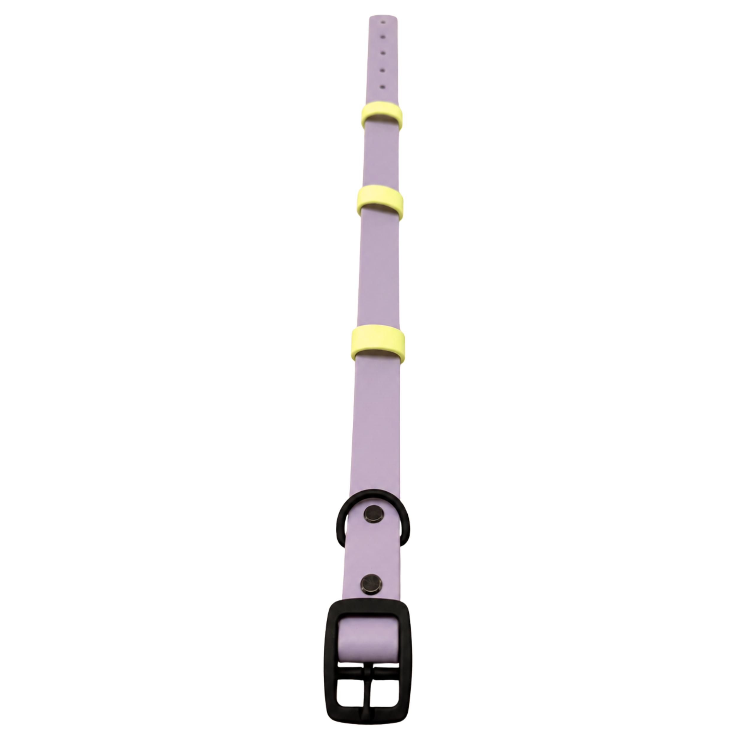 Biothane Halsband "Lilac Lemon"
