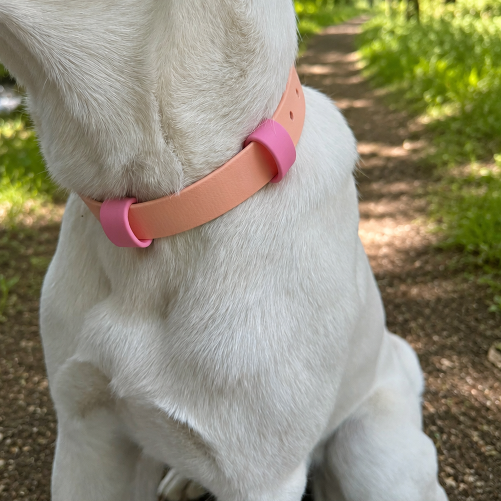 Biothane Halsband "Peach Blossom"
