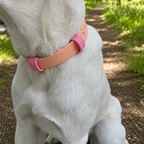Biothane Halsband "Peach Blossom"