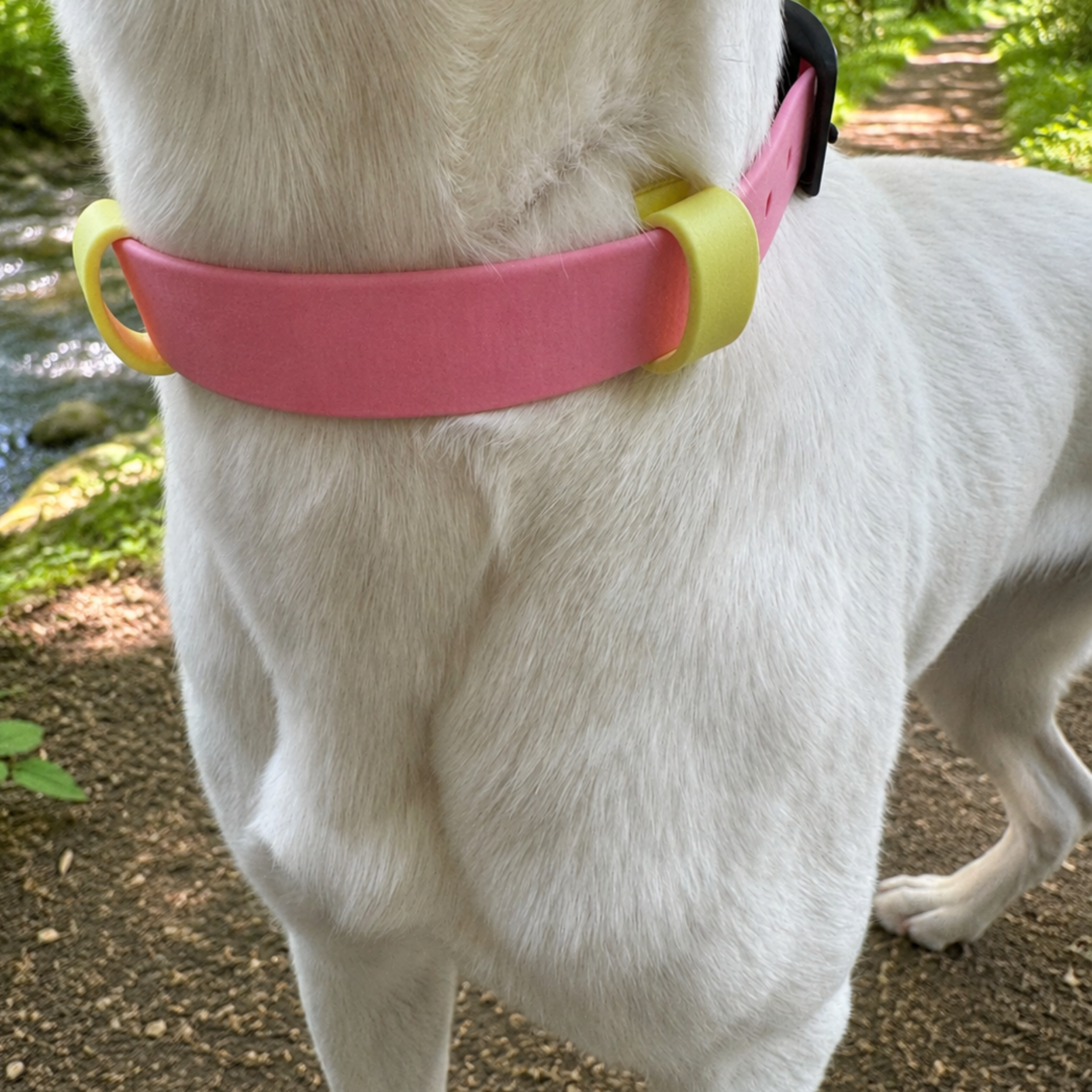 Biothane Halsband "Pink Lemonade"