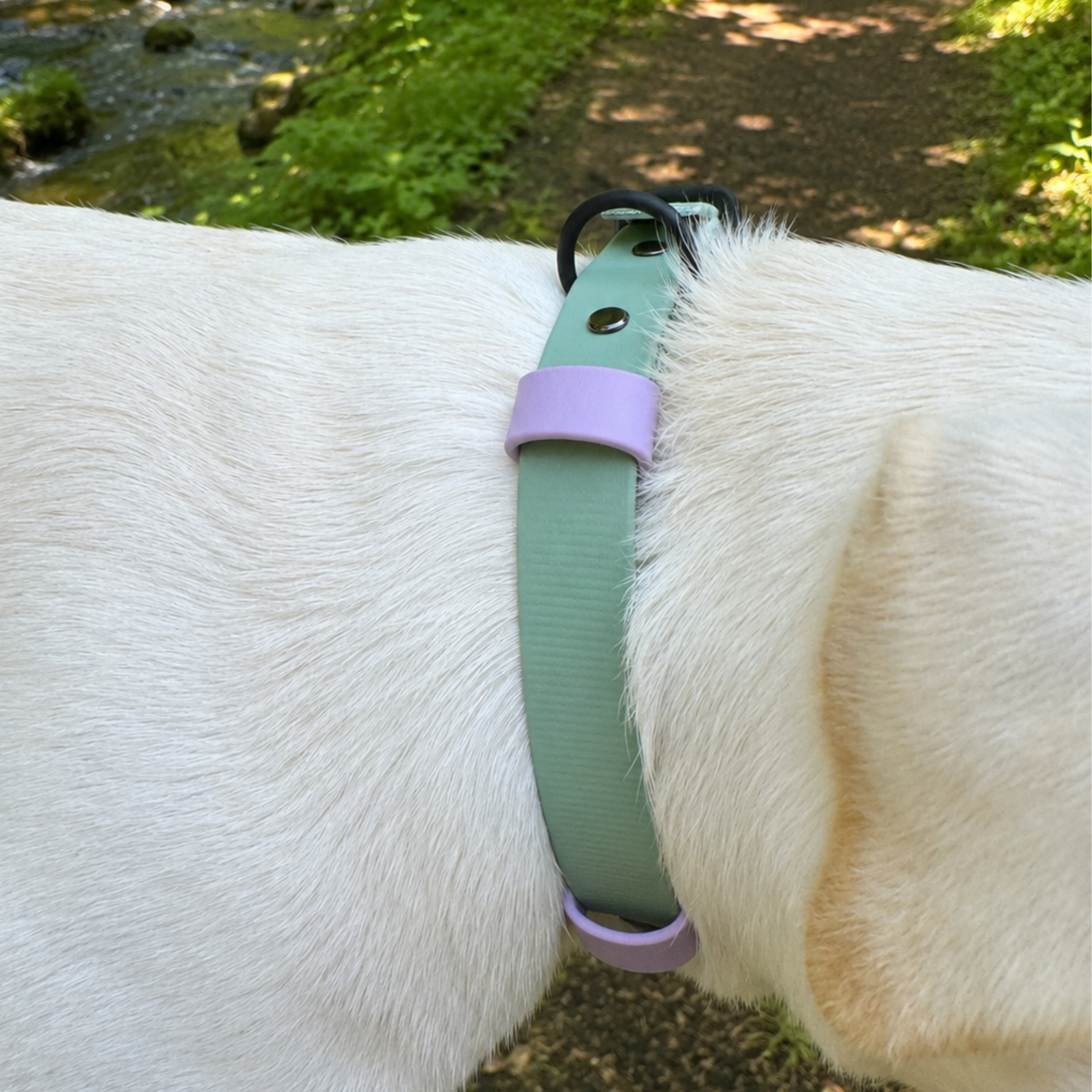Biothane Halsband "Lavender Mint"