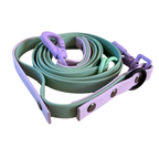 4-in-1 Biothane Leine Sage Grün/Flieder