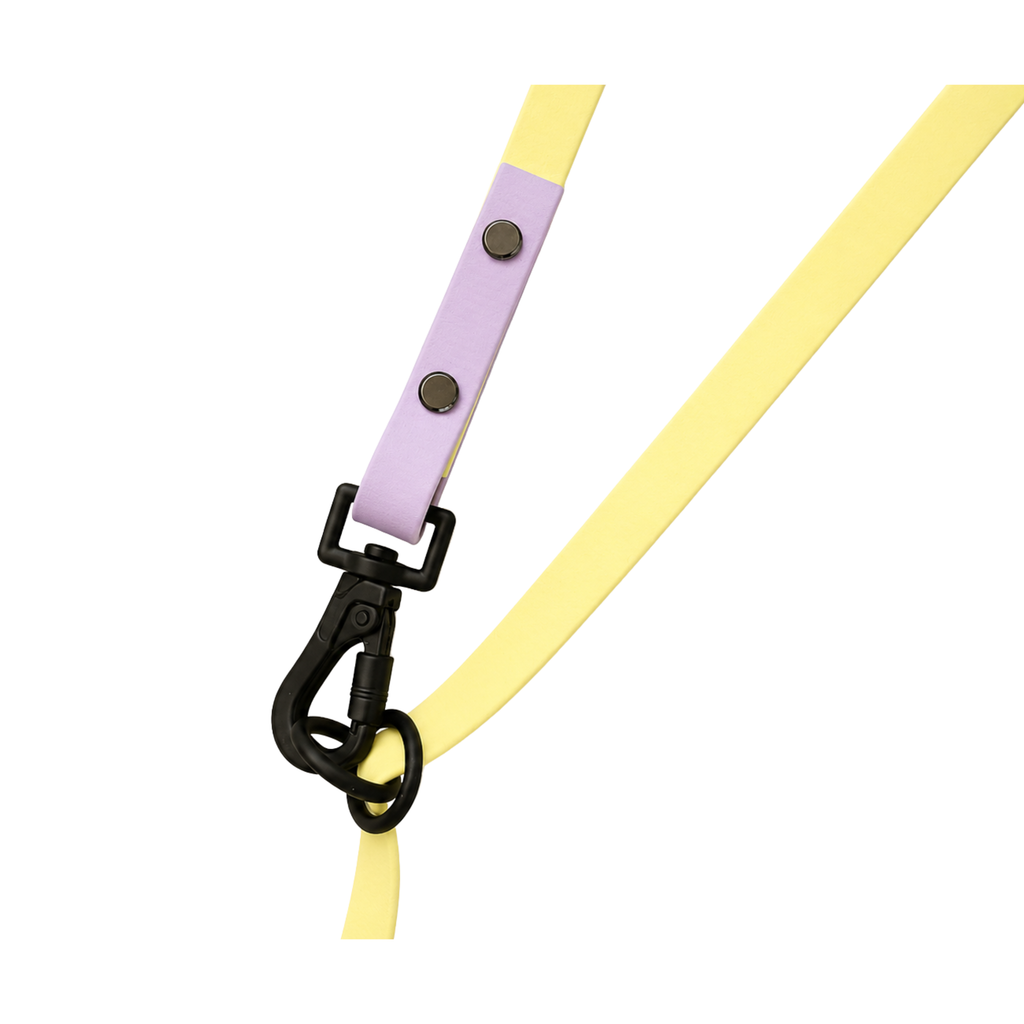 4-in-1 Biothane Leine "Lilac Lemon" – Flieder & Pastellgelb