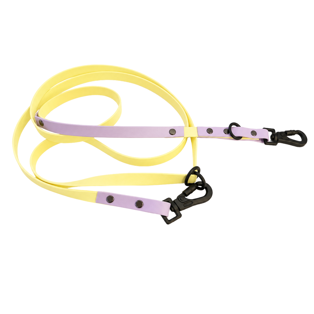 4-in-1 Biothane Leine "Lilac Lemon" – Flieder & Pastellgelb