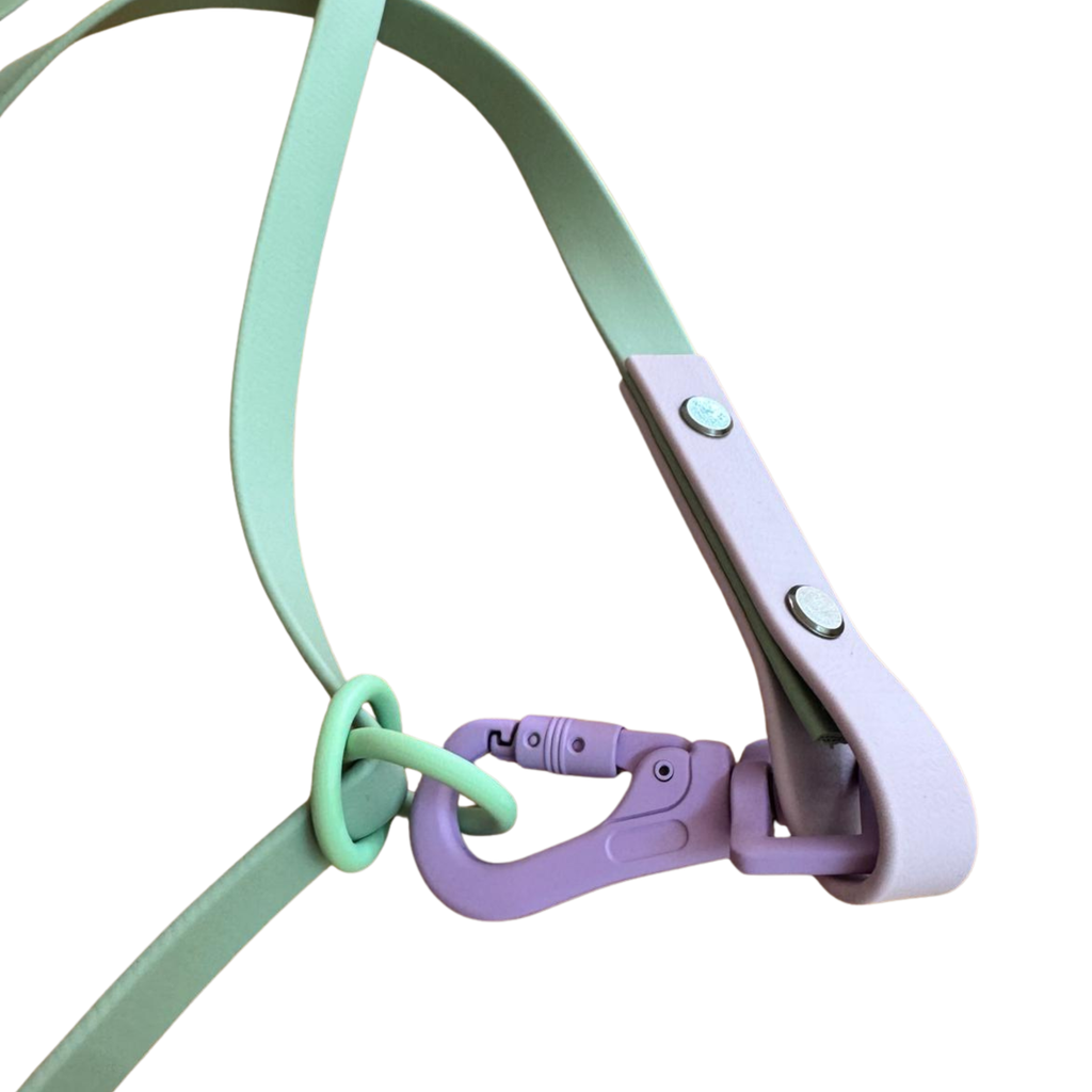 4-in-1 Biothane Leine "Lavender Mint" – Sage Grün und Flieder