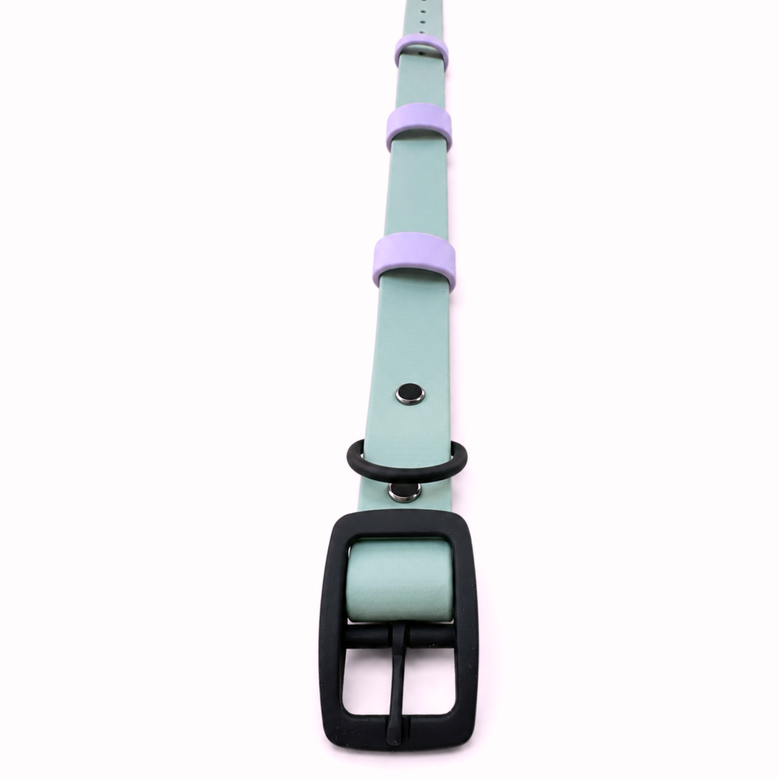 Biothane Halsband "Lavender Mint"