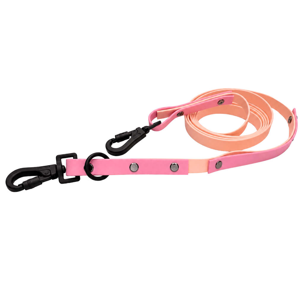 4-in-1 Biothane Leine "Peach Blossom"