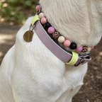 Hundeaccessoire Perlenhalskette „Wild Blossom“