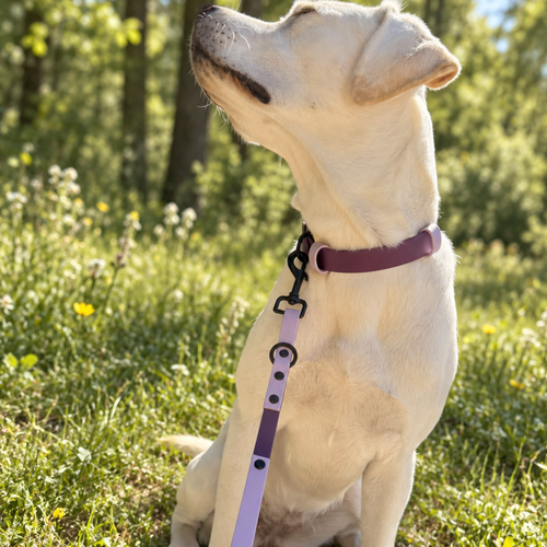 4-in-1 Biothane Leine Aubergine/Flieder