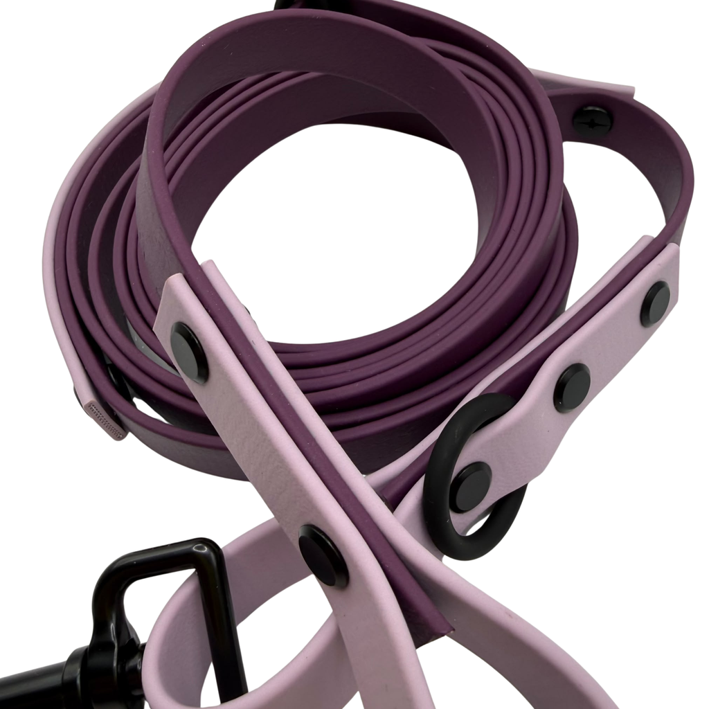 4-in-1 Biothane Leine Aubergine/Flieder