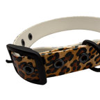 Biothane Halsband Leo-Style