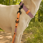 Biothane Halsband Flieder/Peach