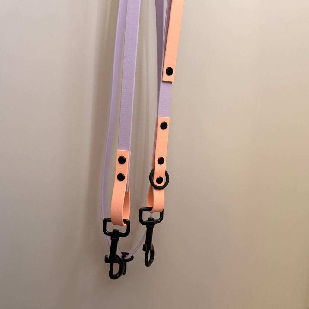 4-in-1 Biothane Leine flieder/peach