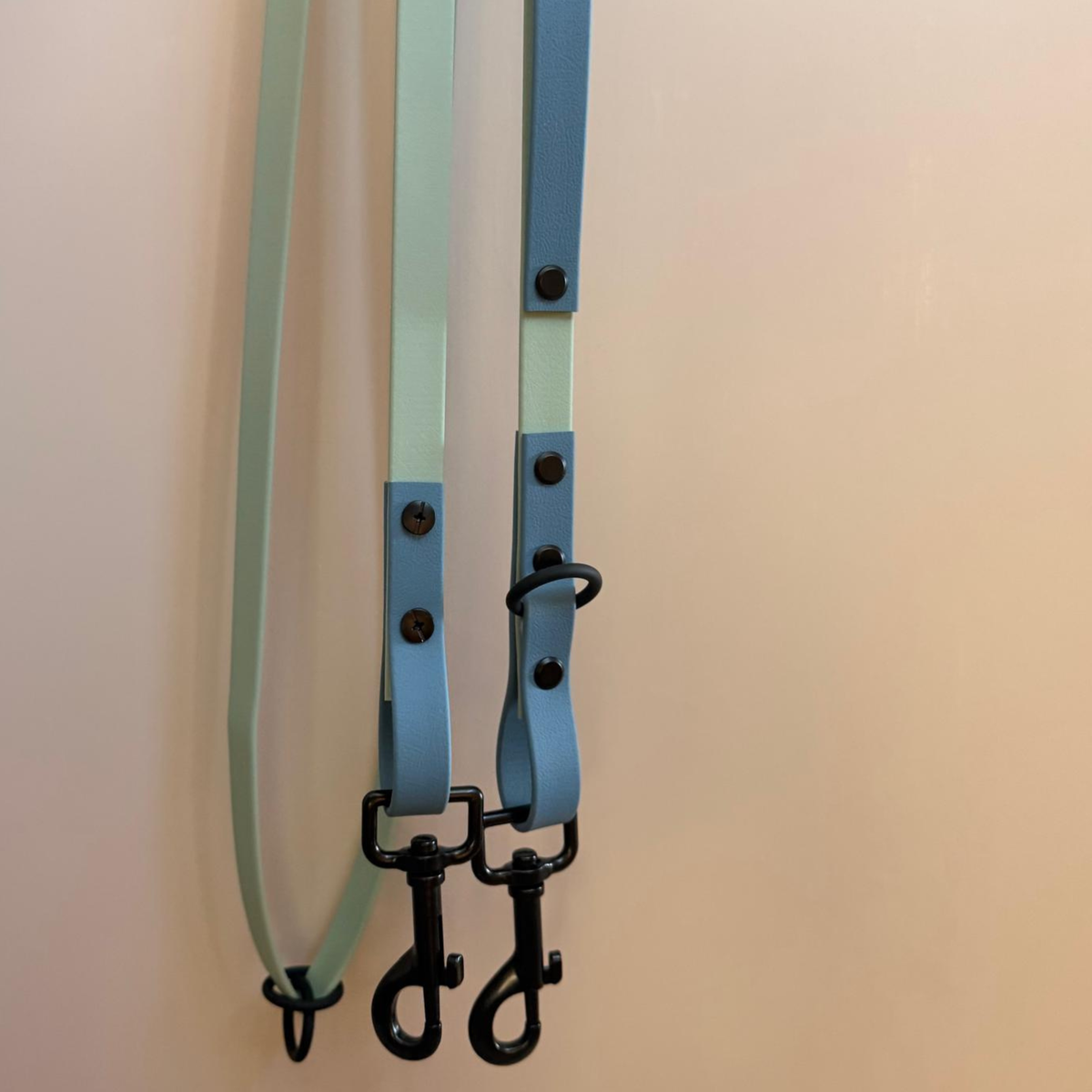 4-in-1 Biothane Leine sage grün/petrol blau