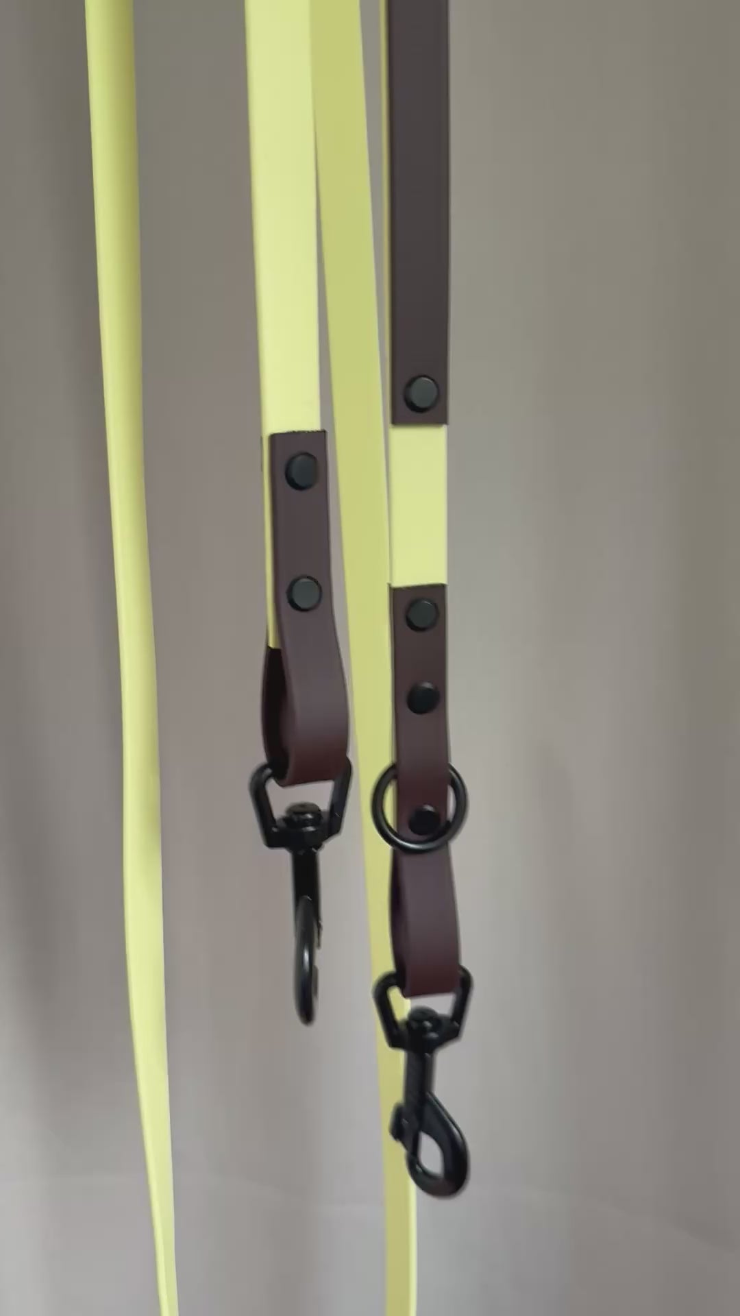 4-in-1 Biothane Leine Pastellgelb/Dunkelbraun